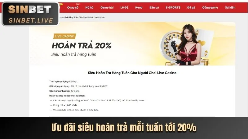 Tổng quan về điều khoản dịch vụ của 69vin casino
